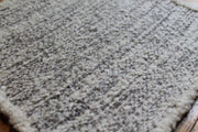 Alpaca S3008