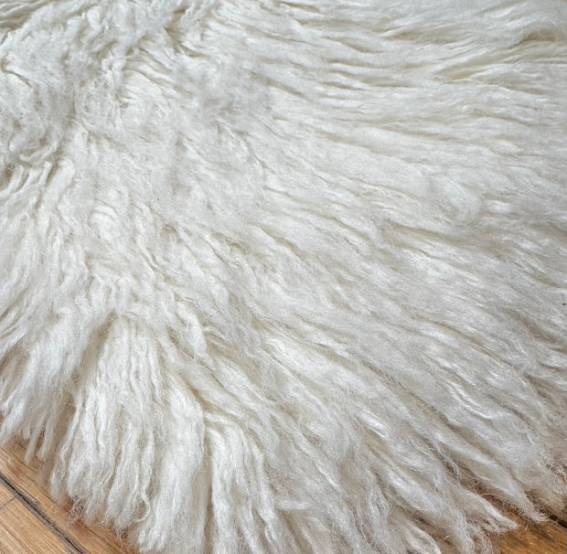 Shag S2981