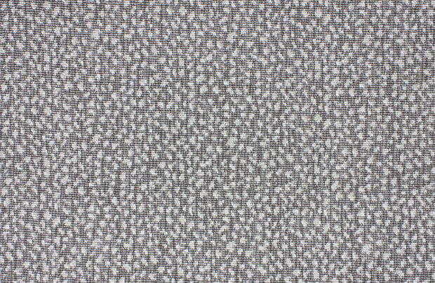 Animal Dot