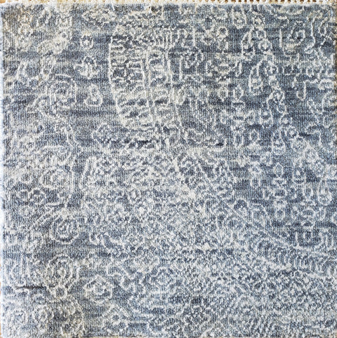 Transitonal-1  S2669